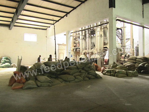 Pakistan feed pellet line